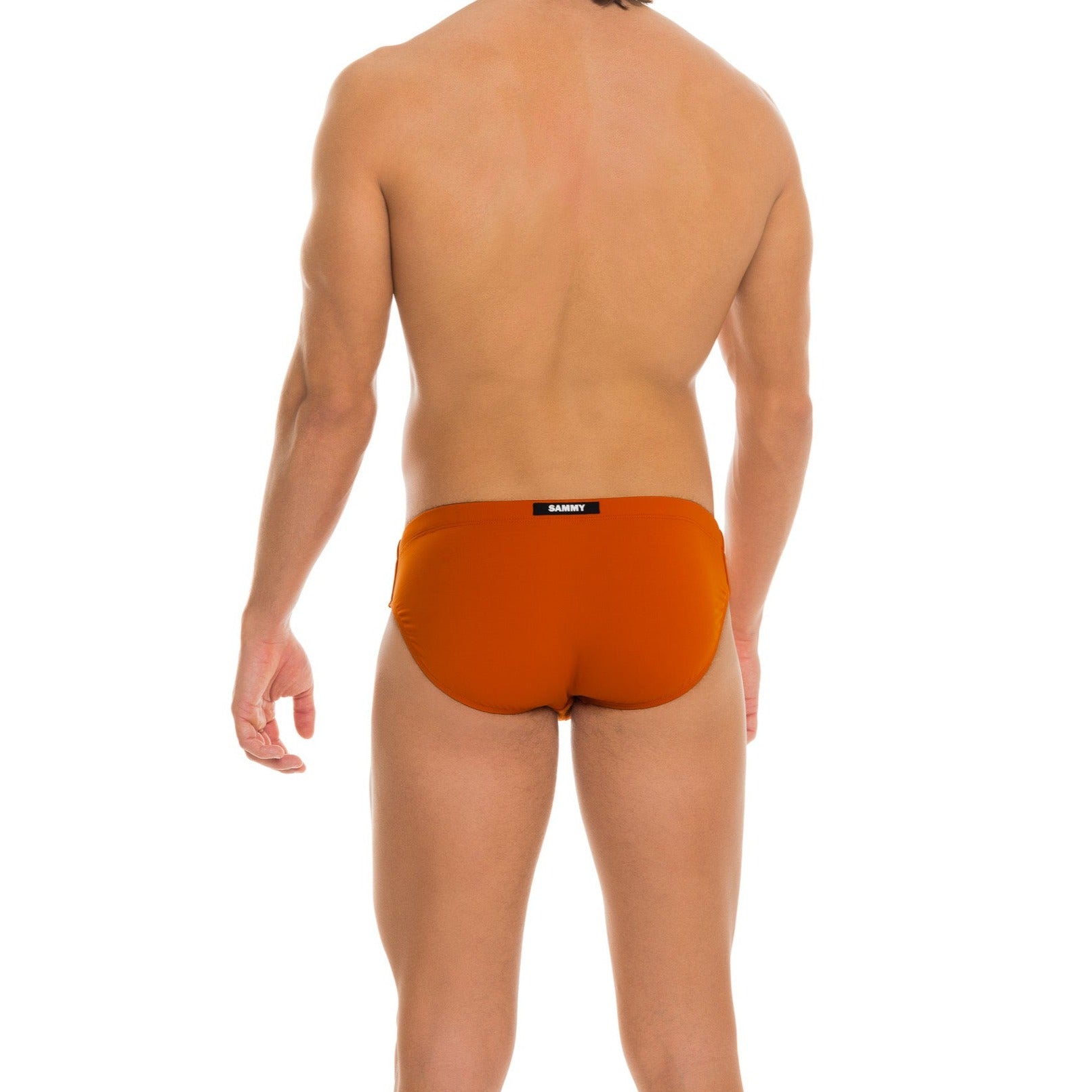 Iced Tea Classic Swim Brief Back